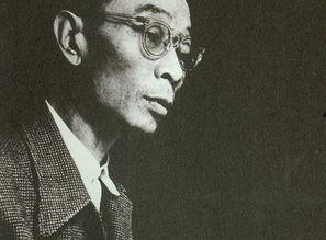 傅雷视频,艺术人生与家国情怀的交响