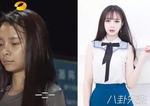 明星规则之沈梦辰,明星规则下的璀璨星途