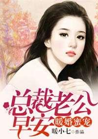 总裁老公暖被窝,暖被窝的浪漫时光