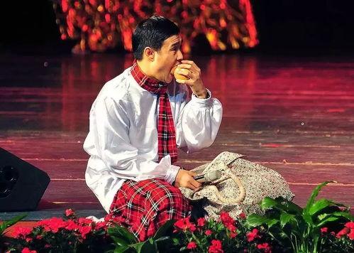 小沈阳神龟爆料视频合集,揭秘娱乐圈幕后故事