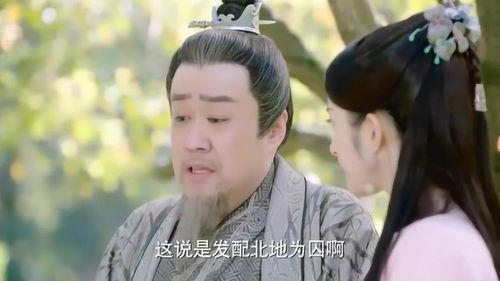 花不弃版免费观看,揭开古装剧的奇幻魅力