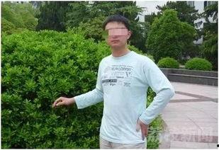 明星加入传销,揭秘明星加入传销的内幕与反思