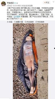 丝袜美腿警察系列,揭秘神秘警花背后的故事