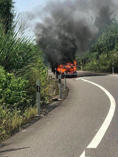 网友爆料高速路口视频播放