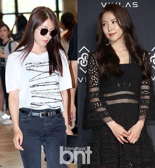 温婉 明星,明星之路的璀璨绽放