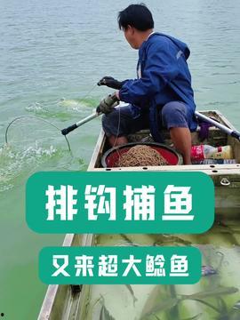 钓鱼短视频,短视频里的钓鱼生活剪影