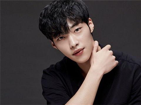 金勇石韩国明星,韩国明星的璀璨星途与魅力人生