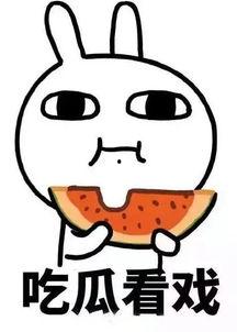 娱乐吃瓜酱网购