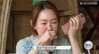 豆瓣娱乐圈吃瓜小组整理,揭秘豆瓣吃瓜小组背后的精彩故事