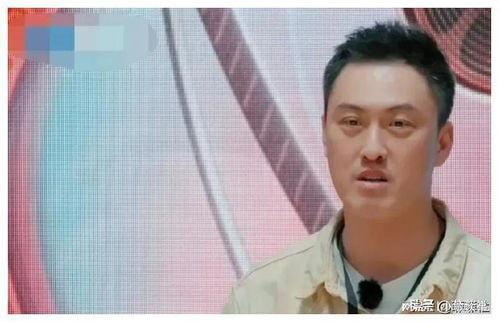 娱乐圈吃瓜爆料陈思诚