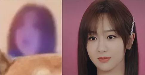 吃瓜系统女主娱乐圈,吃瓜女主的逆袭之路
