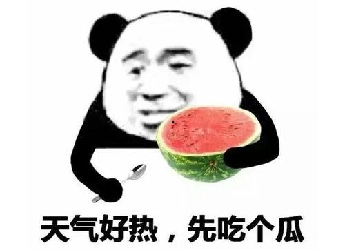 吃瓜比赛表情包