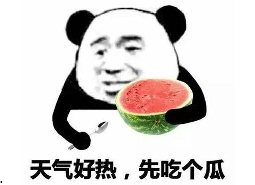 吃瓜娱乐间可爱表情包,可爱表情包带你领略吃瓜娱乐间的欢乐时光