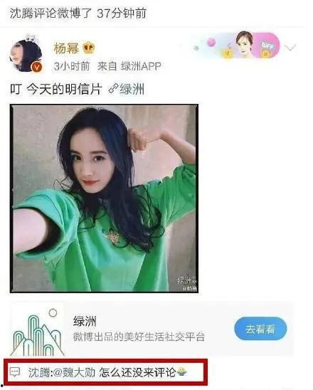娱乐吃瓜小极