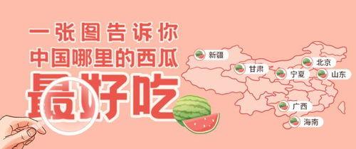 娱乐吃瓜咩