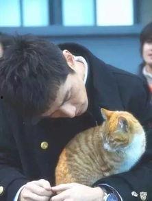 娱乐圈吃瓜爆料博主猫,猫博主带你探秘明星幕后生活