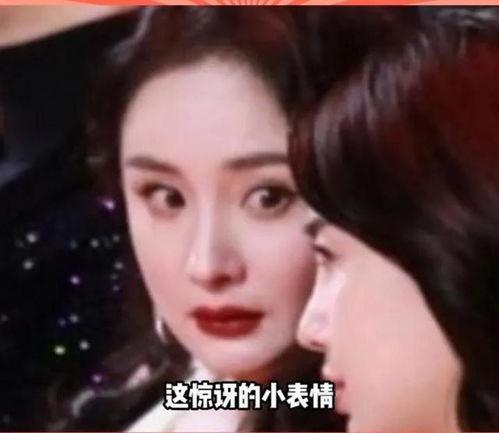 关于娱乐圈吃瓜的小说,瓜田里的秘密风云录